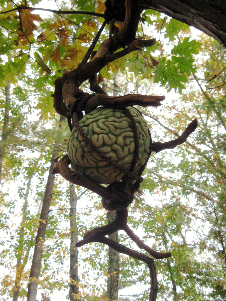 Brain Fruit